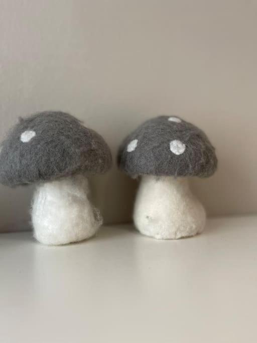 La Taniere De L'Ours - L'Alcove De L'Ours - Chambre Cosy 2 Pers Dambach 외부 사진